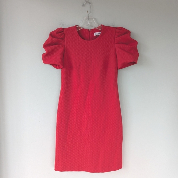 Calvin Klein Petite Women's Red/Pink Textured Puff Sleeve Dress - Picture 3 of 8